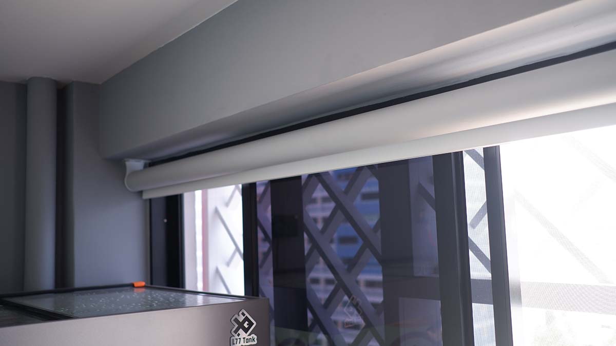 Motorized Blinds